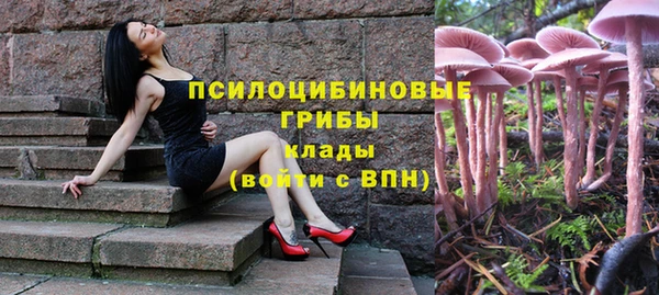 таблы Алексеевка