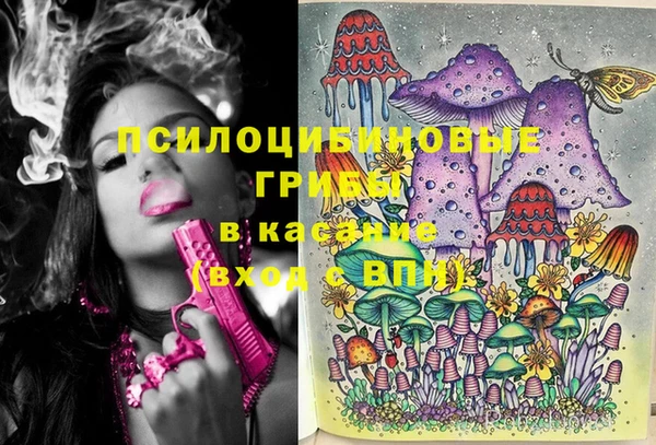 таблы Алексеевка